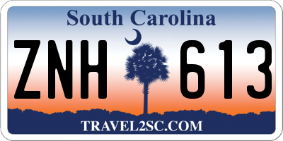 SC license plate ZNH613