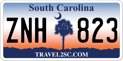 SC license plate ZNH823