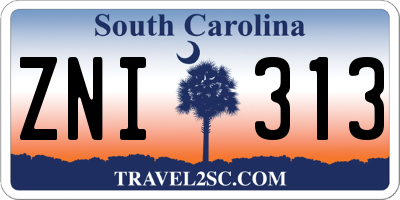 SC license plate ZNI313