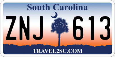 SC license plate ZNJ613