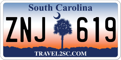 SC license plate ZNJ619