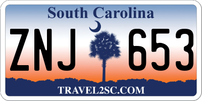 SC license plate ZNJ653