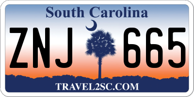 SC license plate ZNJ665