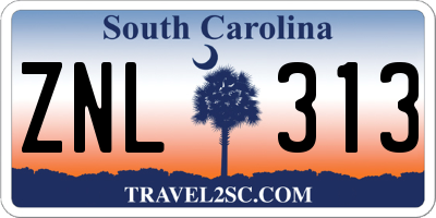 SC license plate ZNL313