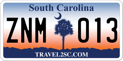 SC license plate ZNM013