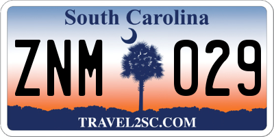 SC license plate ZNM029