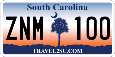 SC license plate ZNM100
