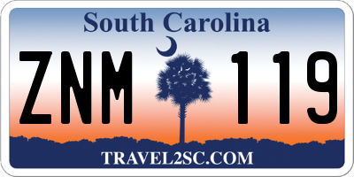 SC license plate ZNM119