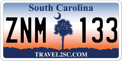 SC license plate ZNM133