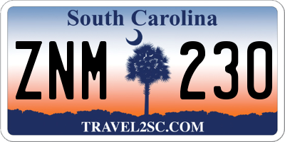 SC license plate ZNM230