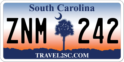 SC license plate ZNM242