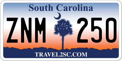 SC license plate ZNM250