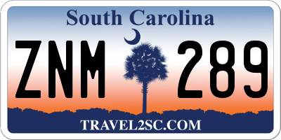 SC license plate ZNM289