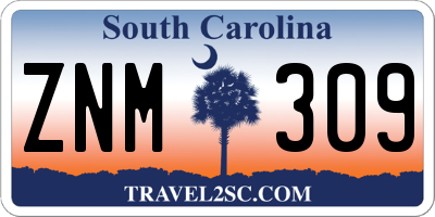 SC license plate ZNM309