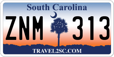 SC license plate ZNM313