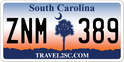 SC license plate ZNM389