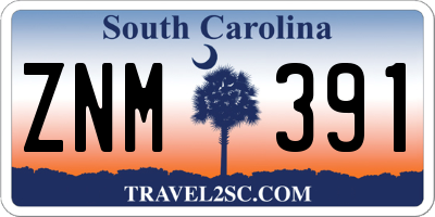 SC license plate ZNM391