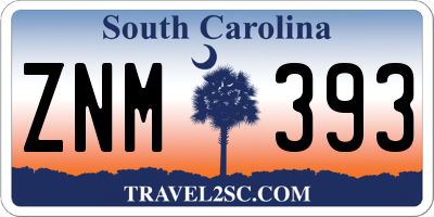 SC license plate ZNM393