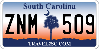 SC license plate ZNM509