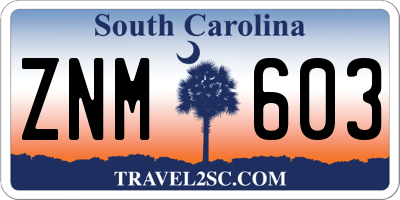 SC license plate ZNM603