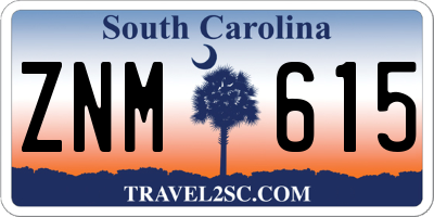 SC license plate ZNM615