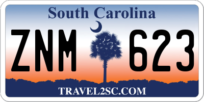 SC license plate ZNM623