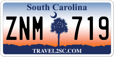 SC license plate ZNM719