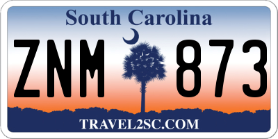 SC license plate ZNM873