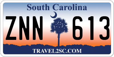 SC license plate ZNN613