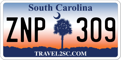 SC license plate ZNP309