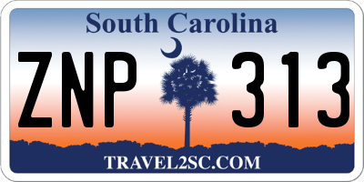 SC license plate ZNP313