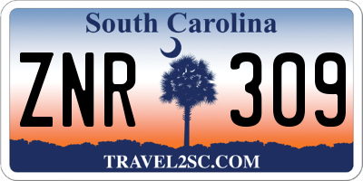 SC license plate ZNR309