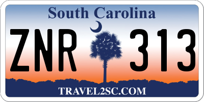 SC license plate ZNR313