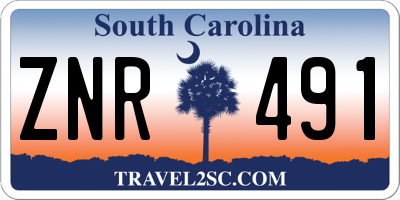 SC license plate ZNR491