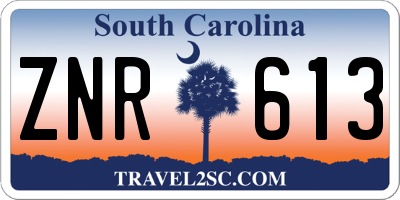 SC license plate ZNR613