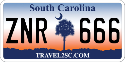 SC license plate ZNR666