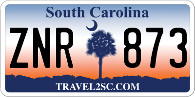 SC license plate ZNR873
