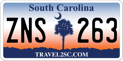 SC license plate ZNS263
