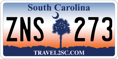 SC license plate ZNS273
