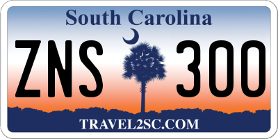 SC license plate ZNS300