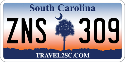 SC license plate ZNS309