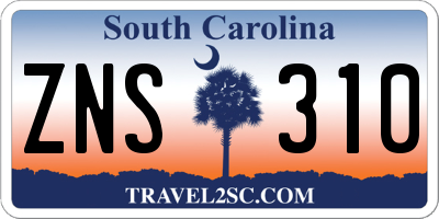SC license plate ZNS310