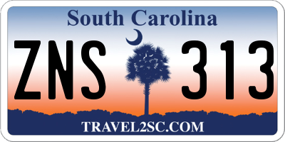 SC license plate ZNS313