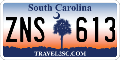SC license plate ZNS613
