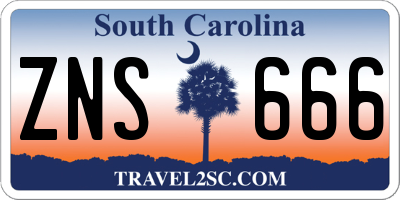 SC license plate ZNS666