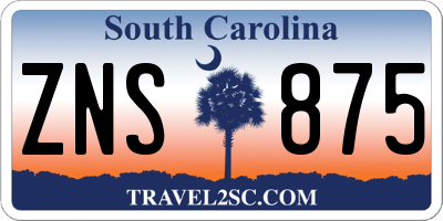 SC license plate ZNS875