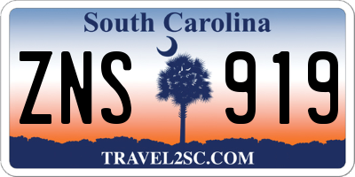 SC license plate ZNS919