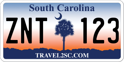 SC license plate ZNT123