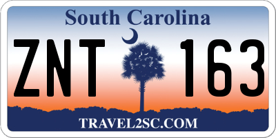 SC license plate ZNT163