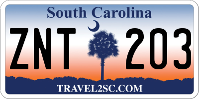 SC license plate ZNT203